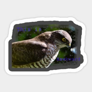 Hawkward Sticker